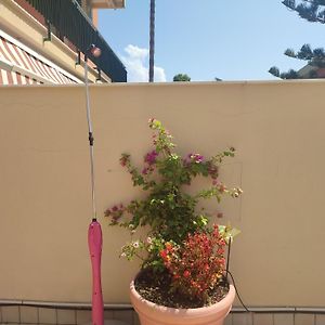 Terrazza La Delizia